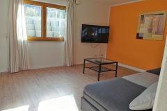 Apartment A - Wohnbereich / Living area