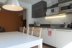 Apartment C - Ess-Küchen-Wohnbereich / Dining Kitchen Living Area