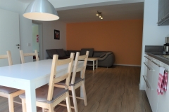 Apartment C - Ess-Küchen-Wohnbereich / Dining Kitchen Living Area