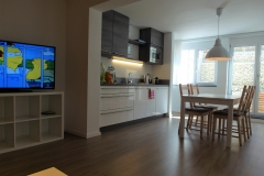 Apartment C - Ess-Küchen-Wohnbereich / Dining Kitchen Living Area
